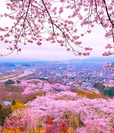 Curiosidades de Tohoku, Japón