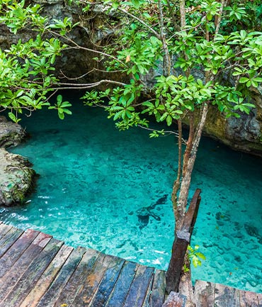 Descubre los cenotes mexicanos: guía completa